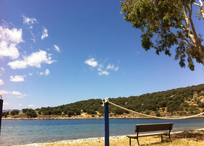 Sea Front Studio - Porto Boufalo - Evia