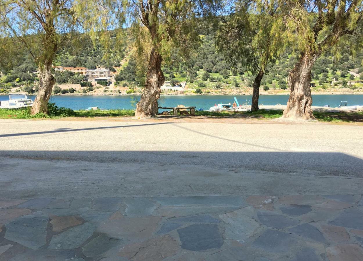Sea Front - Porto - Evia