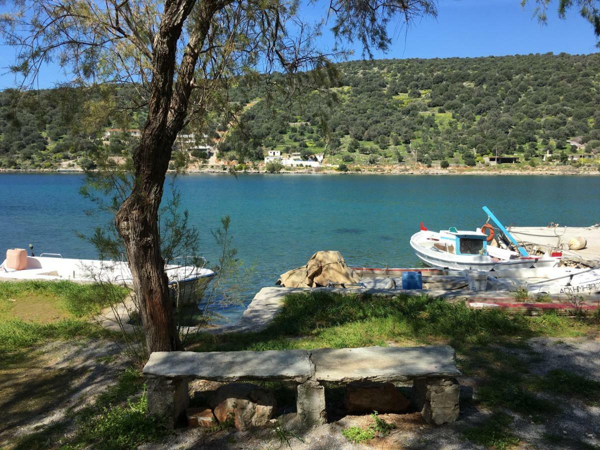 Apartment Sea Front - Porto - Evia Boufalo