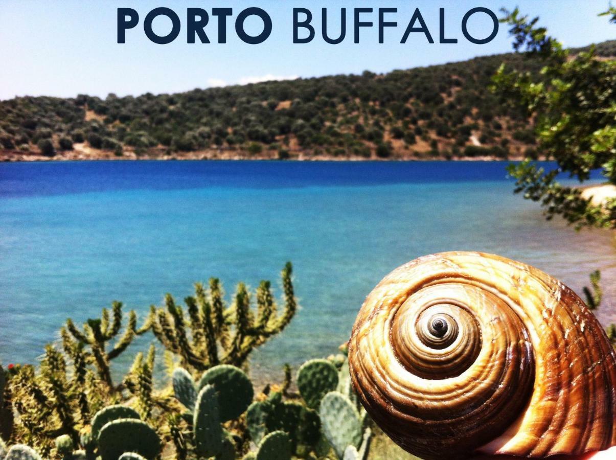 Apartment Sea Front - Porto - Evia *