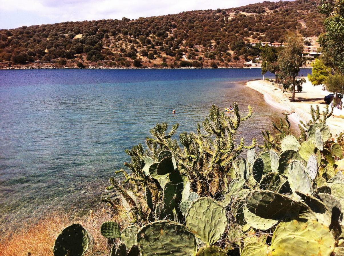 Apartamento Sea Front - Porto - Evia *